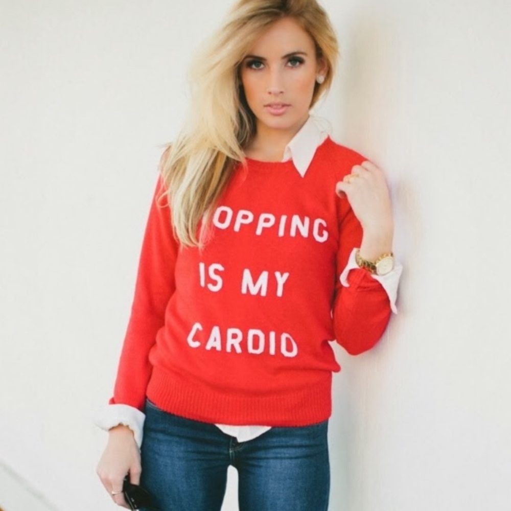 🔴 CLEARANCE - Wildfox Sweater